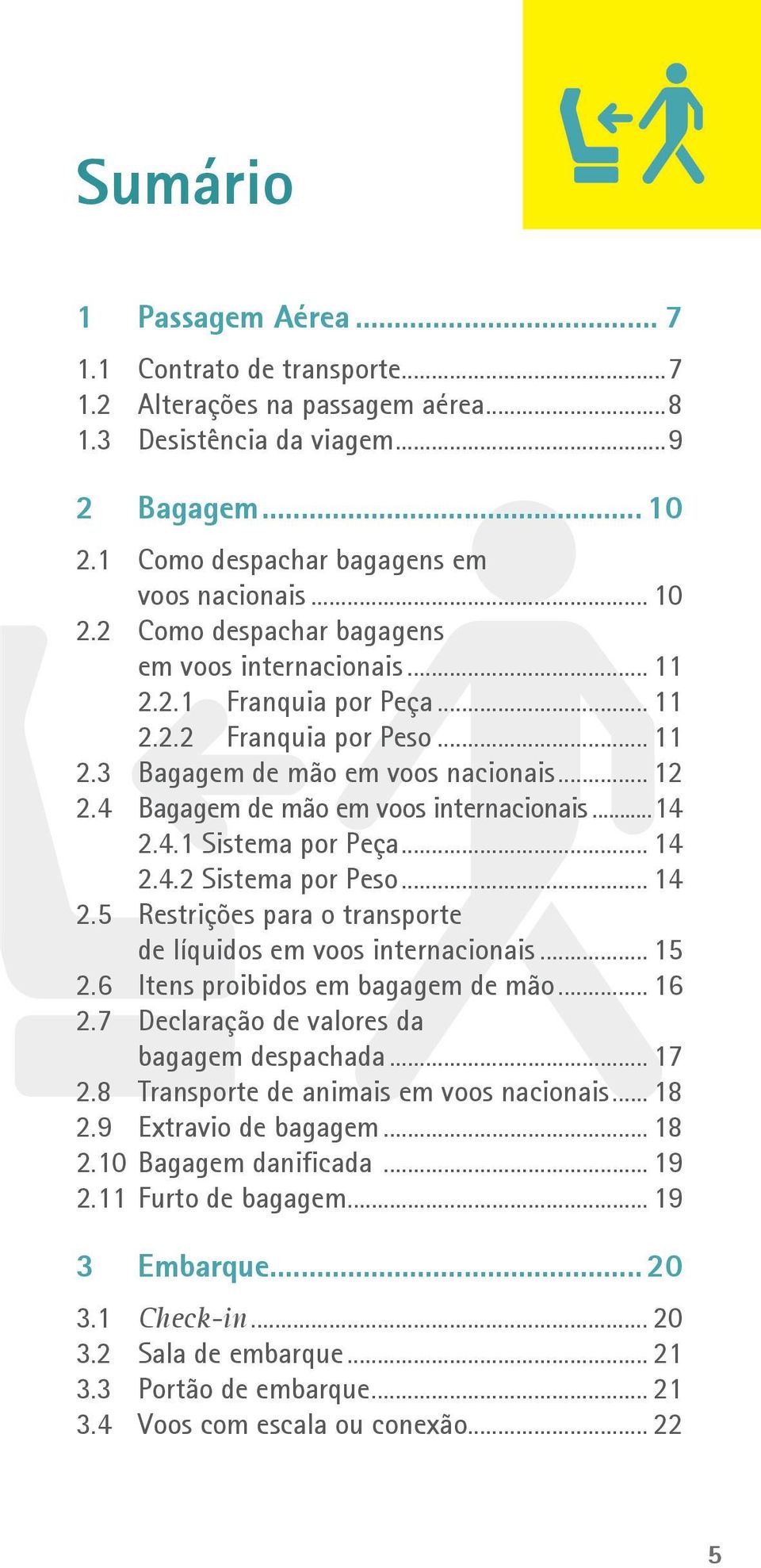 .. 14 2.5 Restrições para o transporte de líquidos em voos internacionais... 15 2.6 Itens proibidos em bagagem de mão... 16 2.7 Declaração de valores da bagagem despachada... 17 2.