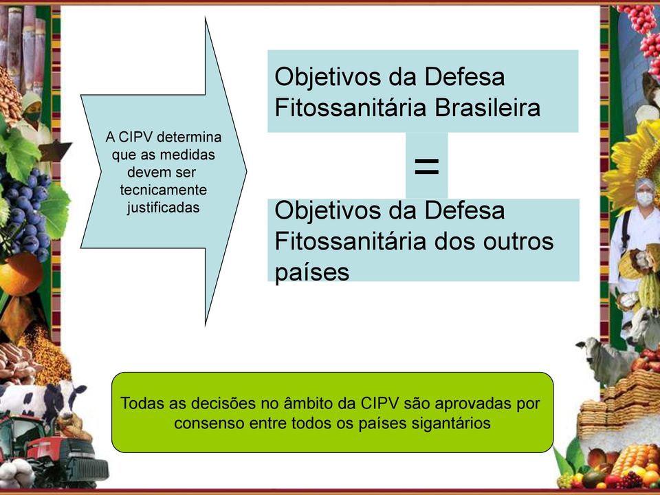 Objetivos da Defesa Fitossanitária dos outros países Todas as