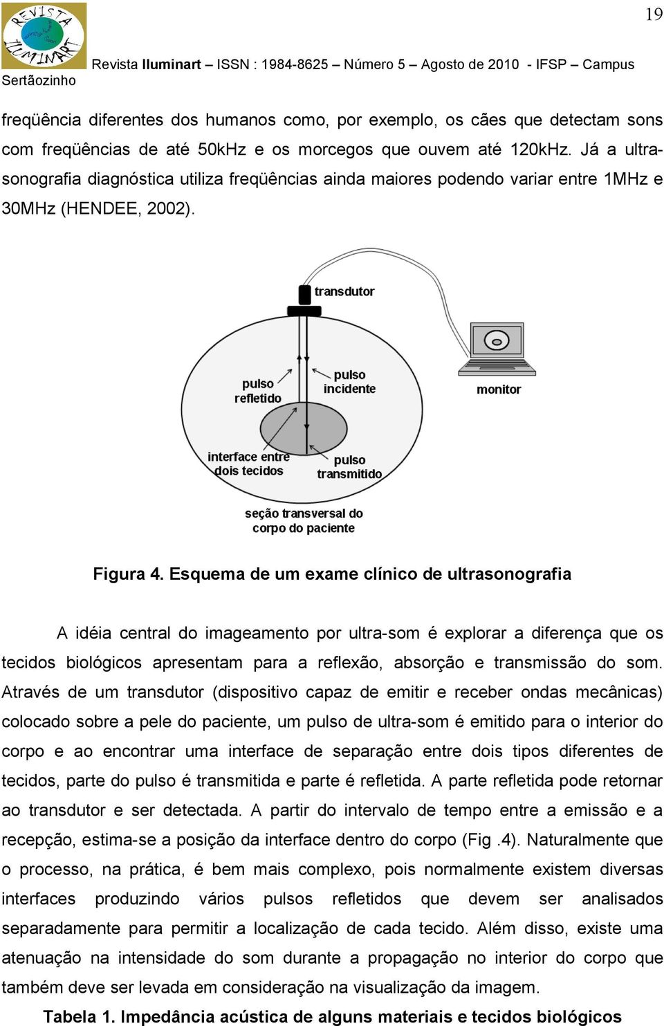 Esquema de um exame clínico de ultrasonografia A idéia central do imageamento por ultra-som é explorar a diferença que os tecidos biológicos apresentam para a reflexão, absorção e transmissão do som.