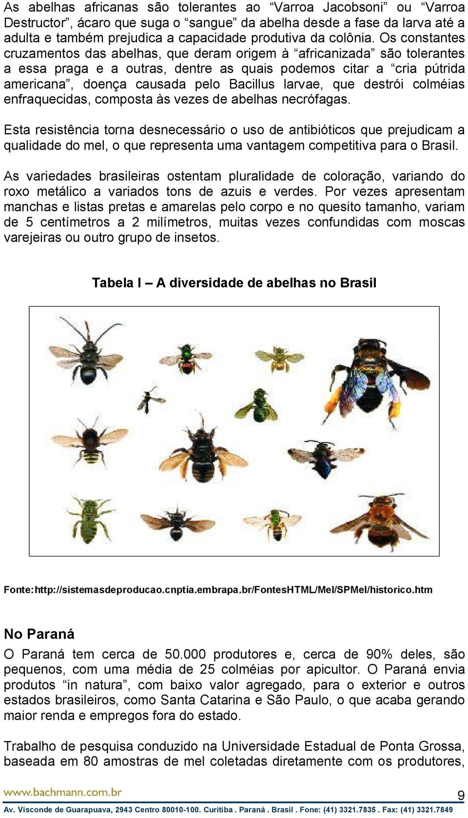 larvae, que destrói colméias enfraquecidas, composta às vezes de abelhas necrófagas.