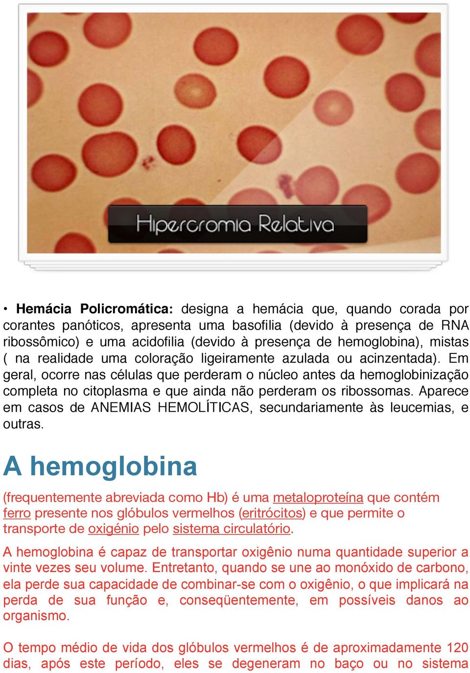 Em geral, ocorre nas células que perderam o núcleo antes da hemoglobinização completa no citoplasma e que ainda não perderam os ribossomas.