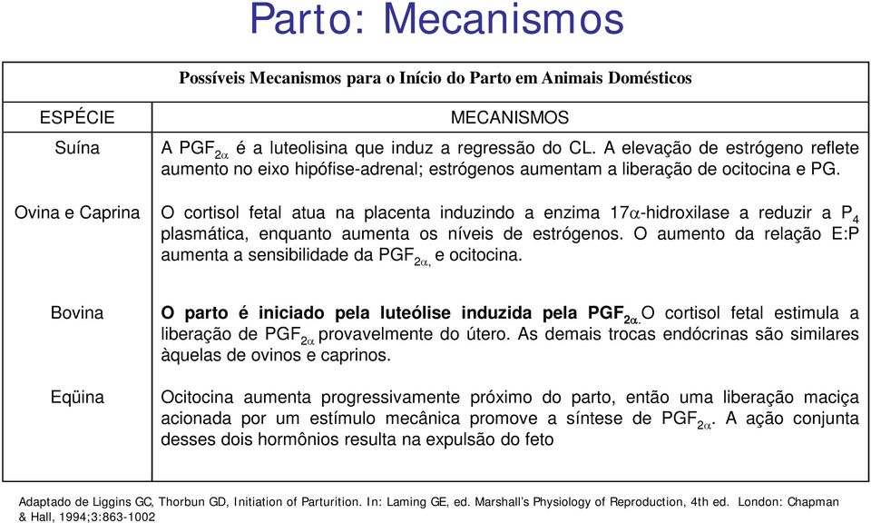 Ovina e Caprina O cortisol fetal atua na placenta induzindo a enzima 17 -hidroxilase a reduzir a P 4 plasmática, enquanto aumenta os níveis de estrógenos.