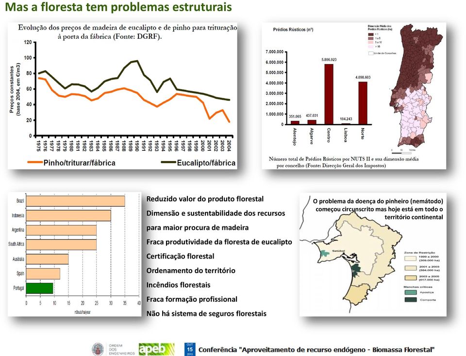 Ordenamento do território Incêndios florestais Fraca formação profissional Não há sistema de seguros