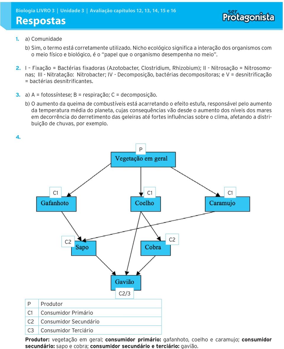 I Fixação = Bactérias fixadoras (Azotobacter, Clostridium, Rhizobium); II - Nitrosação = Nitrosomonas; III - Nitratação: Nitrobacter; IV - Decomposição, bactérias decompositoras; e V =