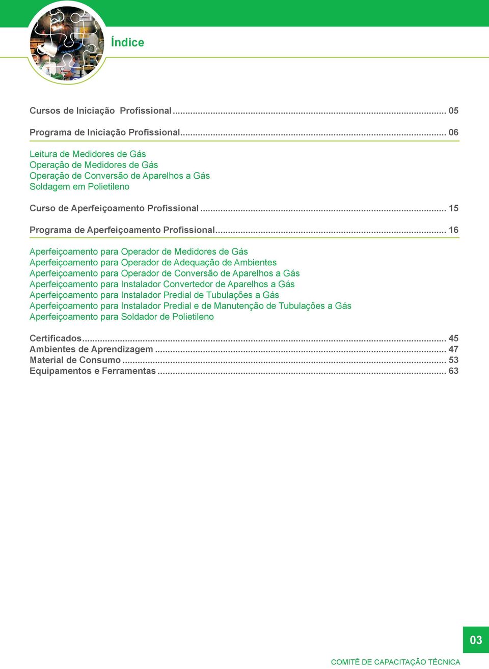 .. 15 Programa de Aperfeiçoamento Profissional.