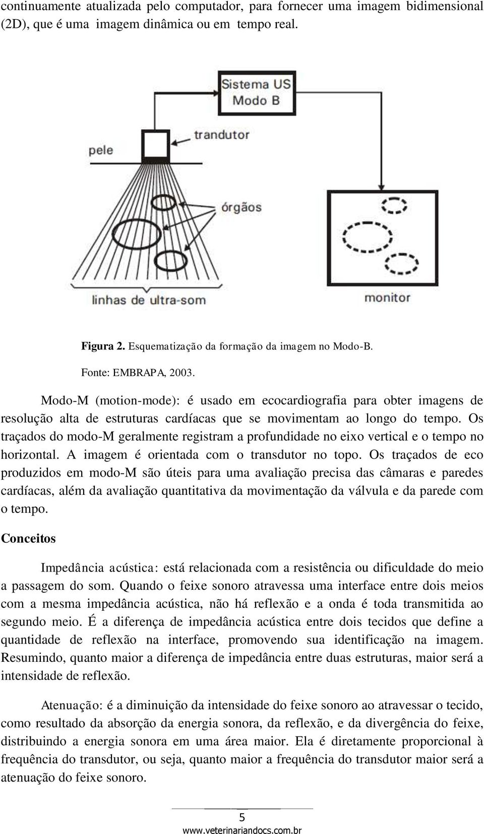 Os traçados do modo-m geralmente registram a profundidade no eixo vertical e o tempo no horizontal. A imagem é orientada com o transdutor no topo.