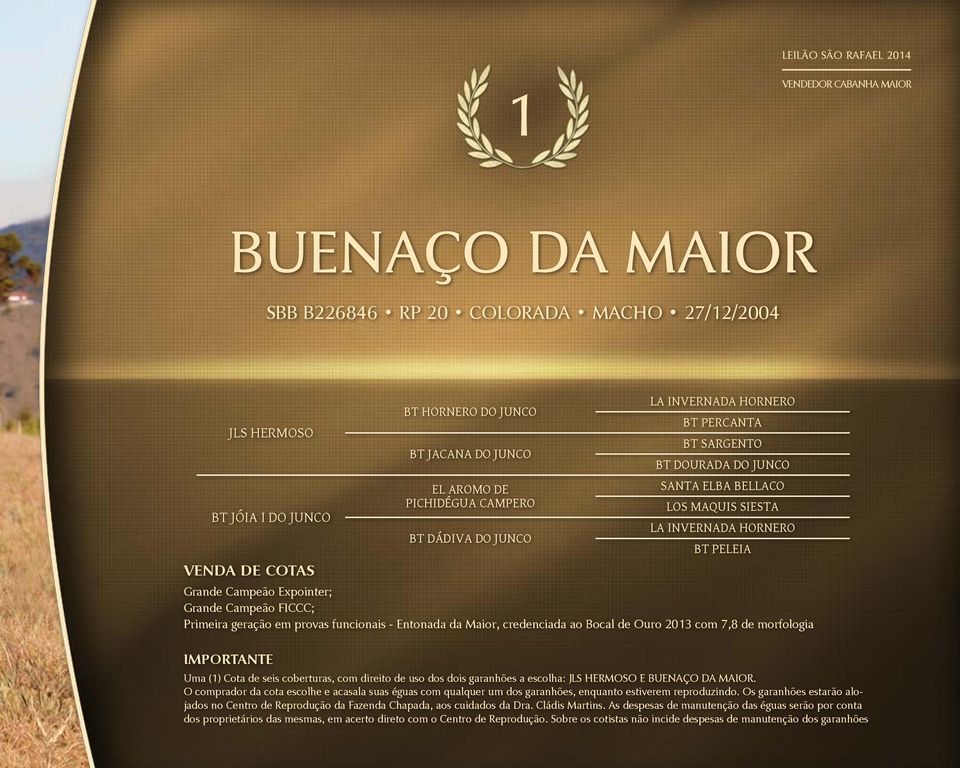 Expointer; Grande Campeão FICCC; Primeira geração em provas funcionais - Entonada da Maior, credenciada ao Bocal de Ouro 2013 com 7,8 de morfologia Importante Uma (1) Cota de seis coberturas, com