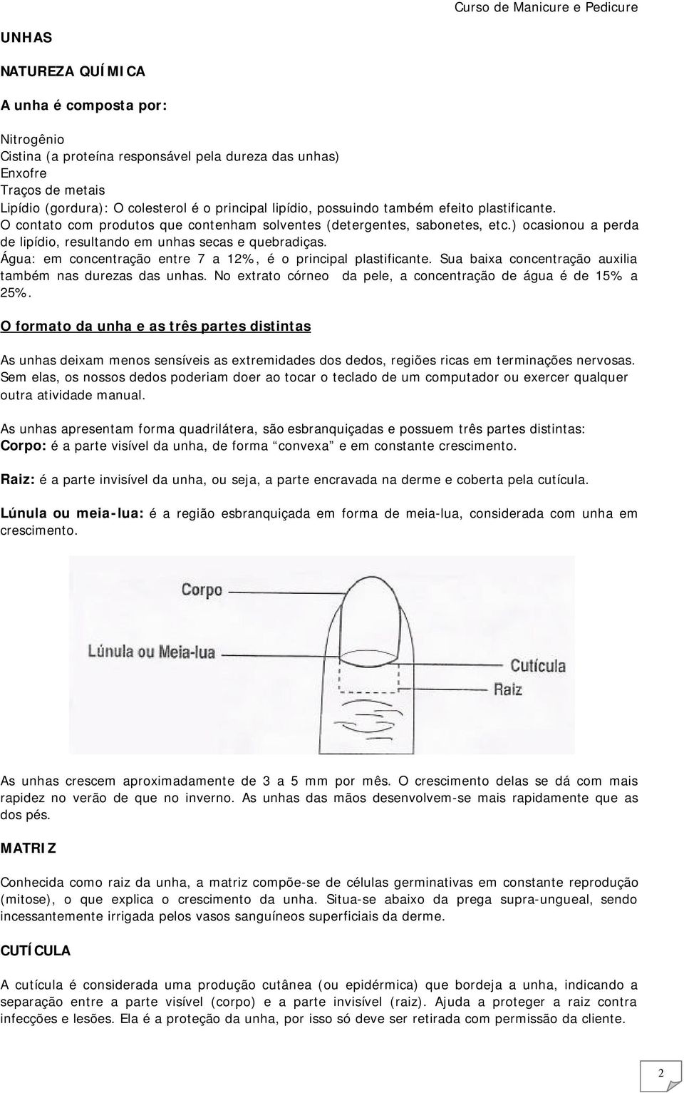 Água: em concentração entre 7 a 12%, é o principal plastificante. Sua baixa concentração auxilia também nas durezas das unhas. No extrato córneo da pele, a concentração de água é de 15% a 25%.