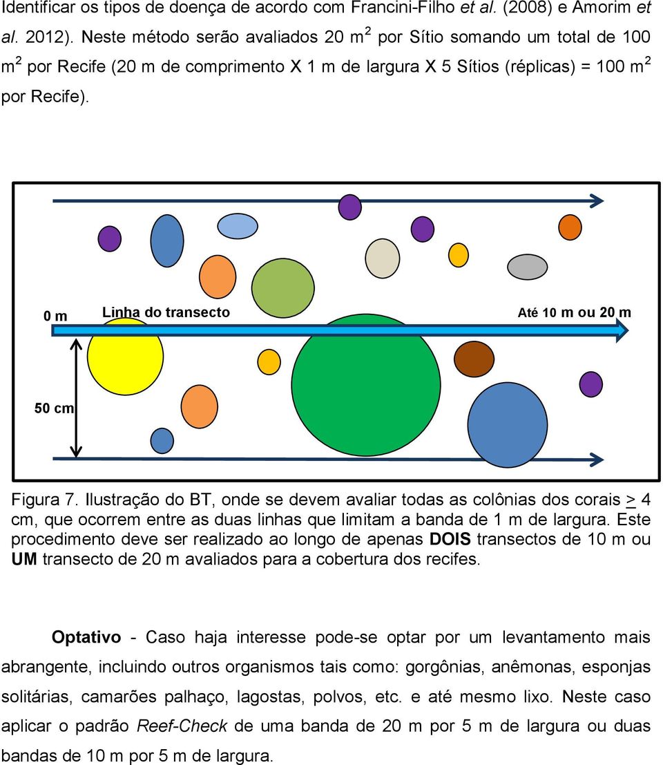 0 m Linha do transecto Até 10 m ou 20 m 50 cm Figura 7.