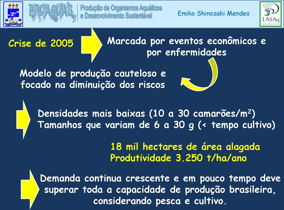 (< tempo cultivo) 18 mil hectares de área alagada Produtividade 3.