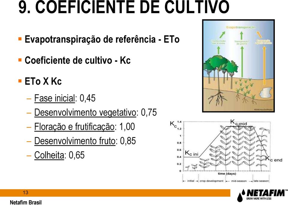 Fase inicial: 0,45 Desenvolvimento vegetativo: 0,75