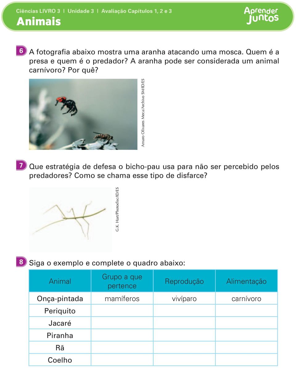 7 Que estratégia de defesa o bicho-pau usa para não ser percebido pelos predadores? Como se chama esse tipo de disfarce? G.