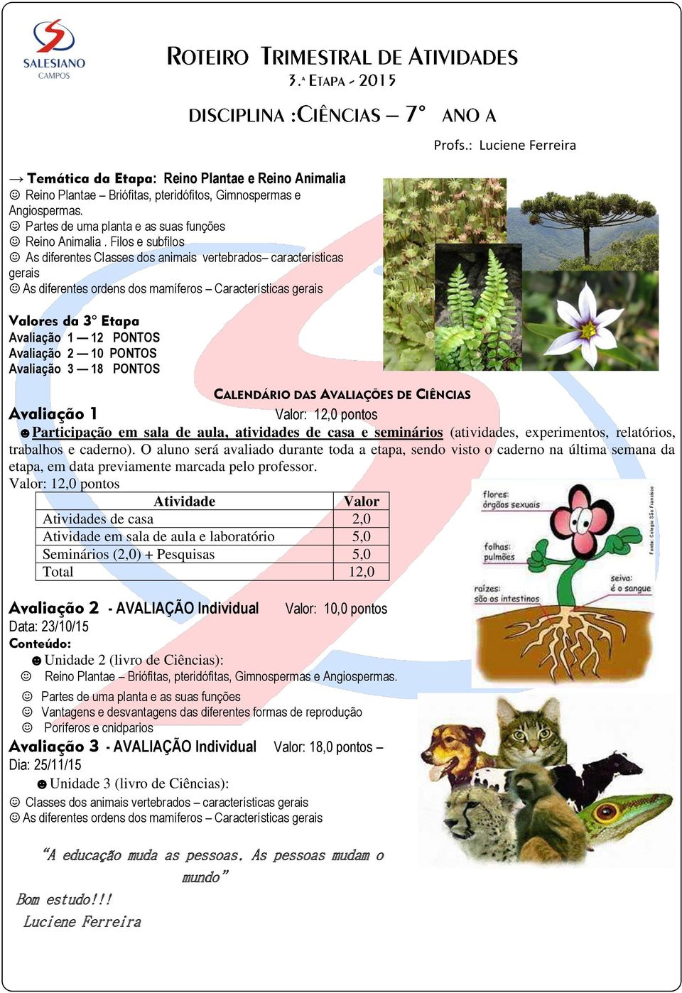 Filos e subfilos As diferentes Classes dos animais vertebrados características gerais As diferentes ordens dos mamíferos Características gerais Valores da 3 Etapa Avaliação 1 CALENDÁRIO DAS