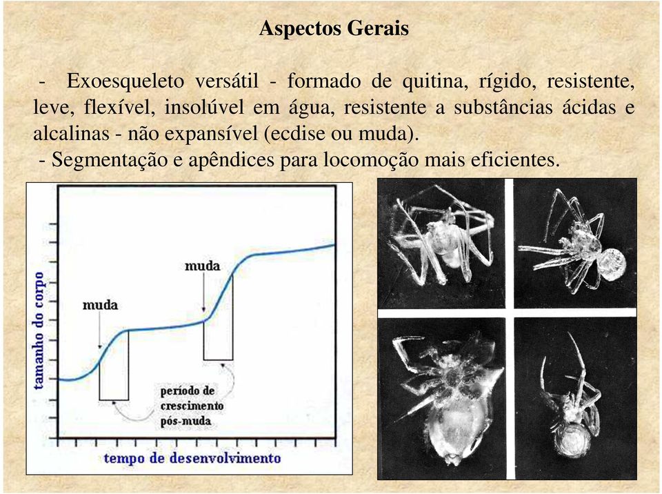 resistente a substâncias ácidas e alcalinas - não expansível