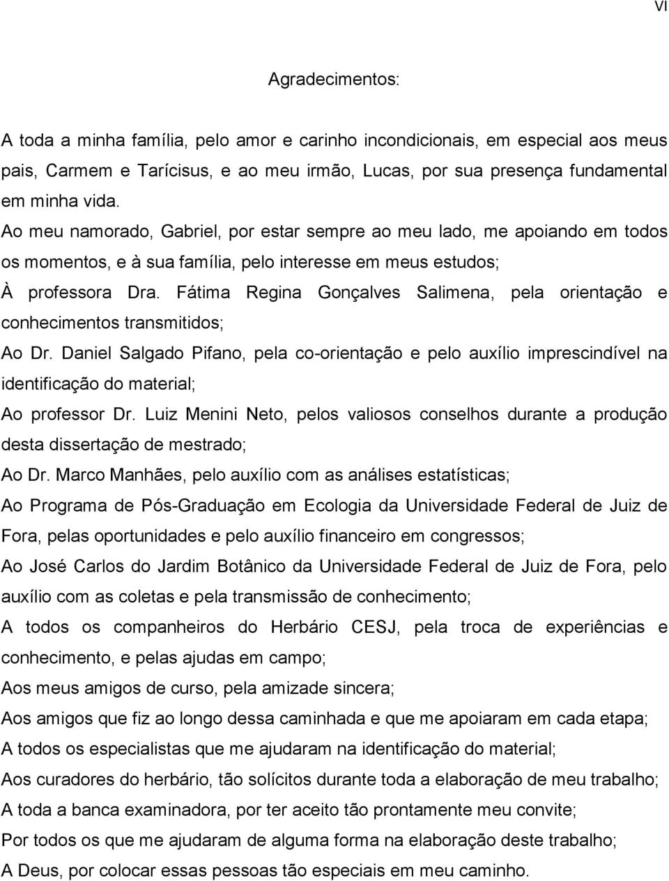 Fátima Regina Gonçalves Salimena, pela orientação e conhecimentos transmitidos; Ao Dr.