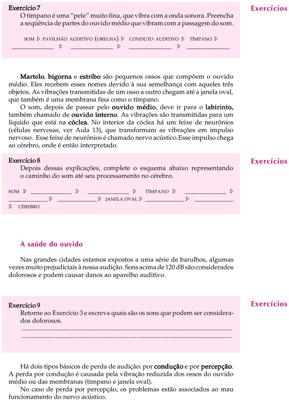 Eles recebem esses nomes devido à sua semelhança com aqueles três objetos. As vibrações transmitidas de um osso a outro chegam até a janela oval, que também é uma membrana fina como o tímpano.