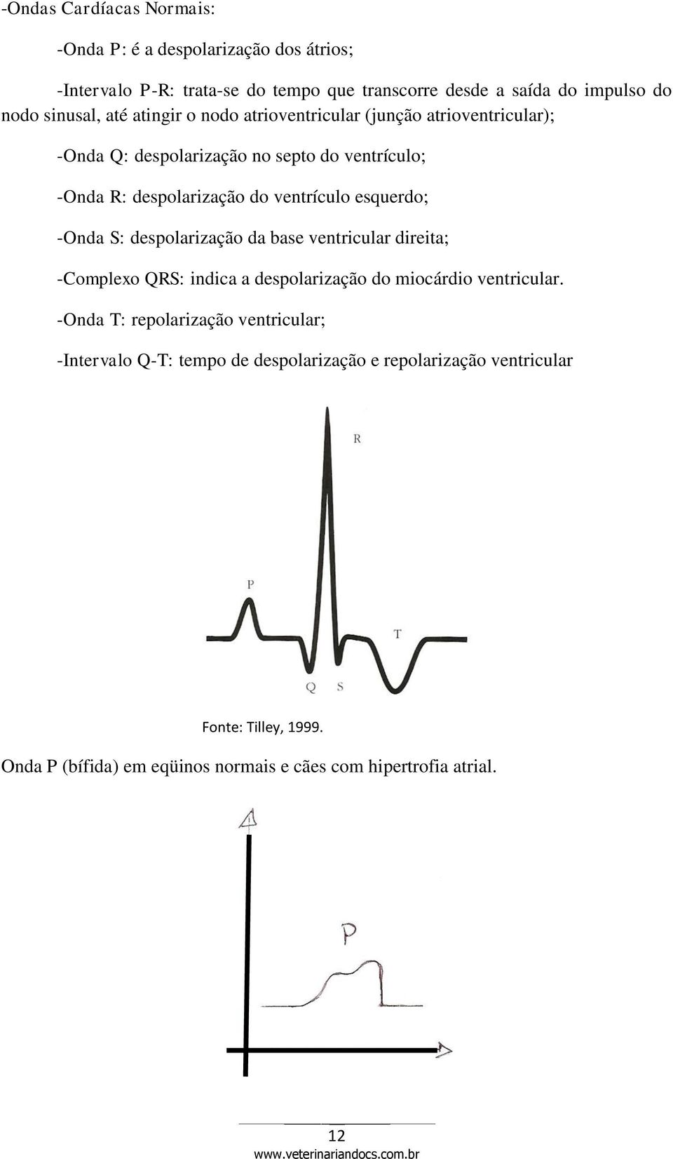 esquerdo; -Onda S: despolarização da base ventricular direita; -Complexo QRS: indica a despolarização do miocárdio ventricular.