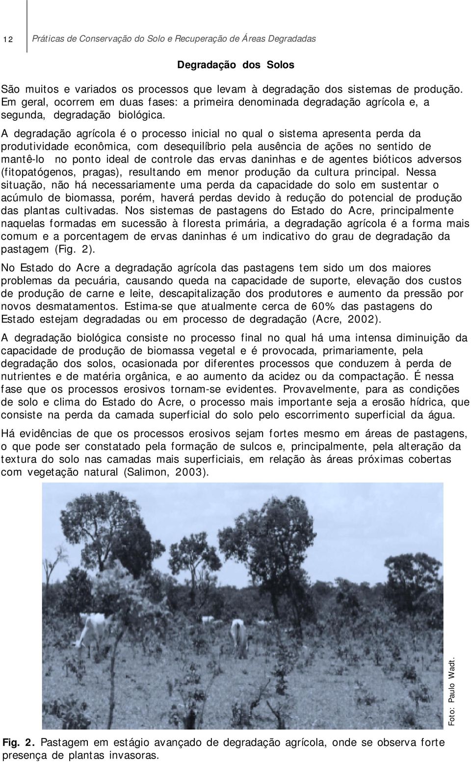 A degradação agrícola é o processo inicial no qual o sistema apresenta perda da produtividade econômica, com desequilíbrio pela ausência de ações no sentido de mantê-lo no ponto ideal de controle das