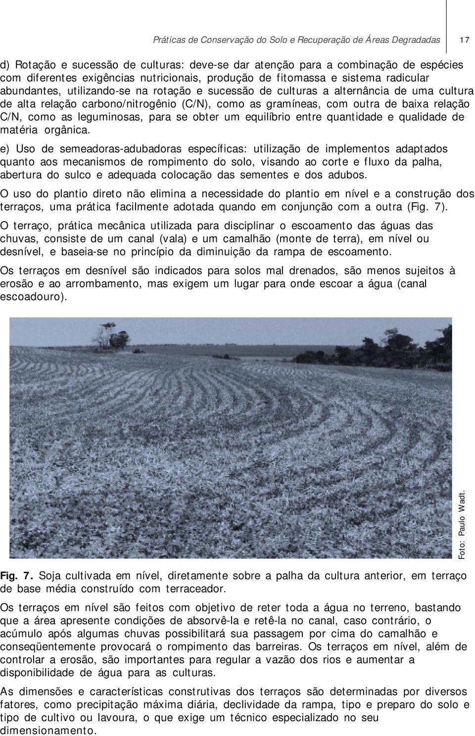 outra de baixa relação C/N, como as leguminosas, para se obter um equilíbrio entre quantidade e qualidade de matéria orgânica.