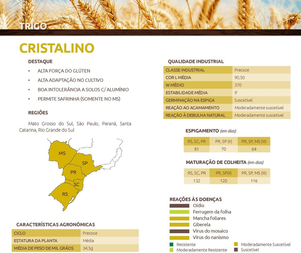 Moderadamente suscetível REAÇÃO À DEBULHA NATURAL Moderadamente suscetível ESPIGAMENTO (em dias) RS, SC, PR PR, SP (II) PR, SP, MS (III) 81 70 64 MATURAÇÃO DE COLHEITA (em dias)