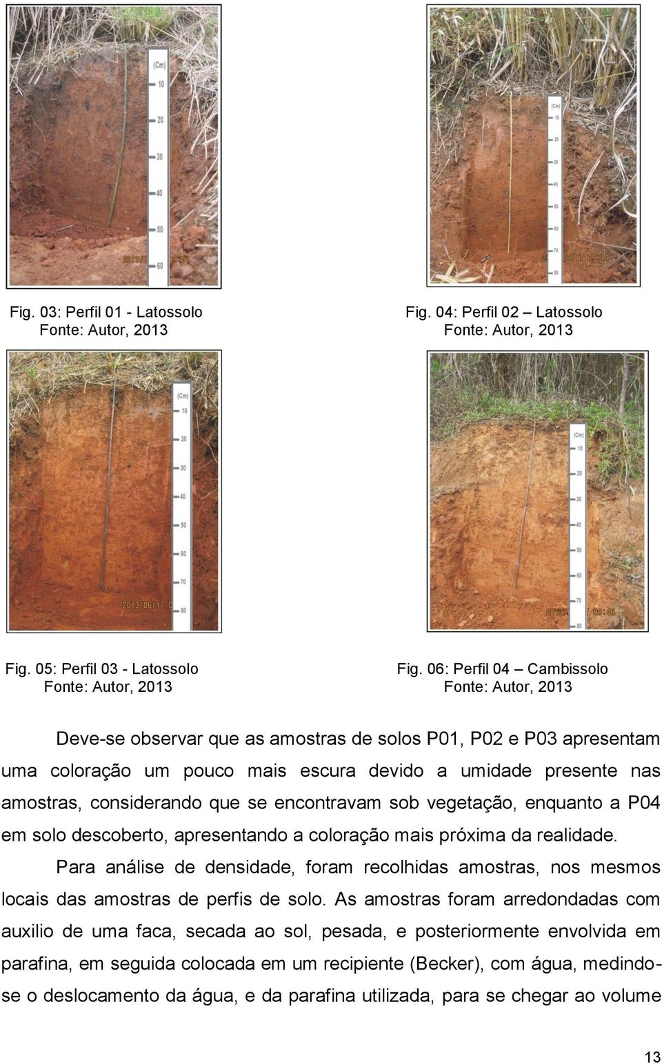 amostras, considerando que se encontravam sob vegetação, enquanto a P04 em solo descoberto, apresentando a coloração mais próxima da realidade.