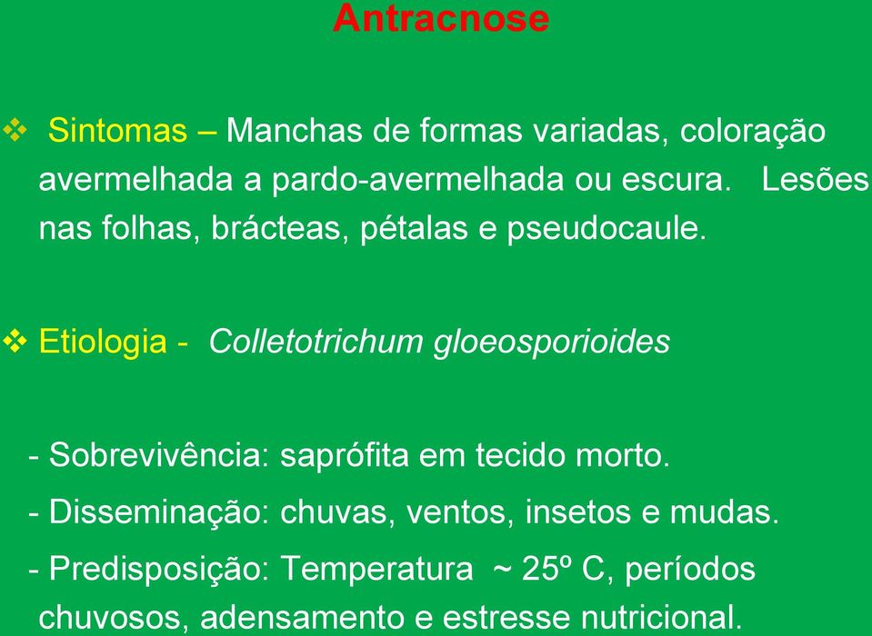 Etiologia - Colletotrichum gloeosporioides - Sobrevivência: saprófita em tecido morto.