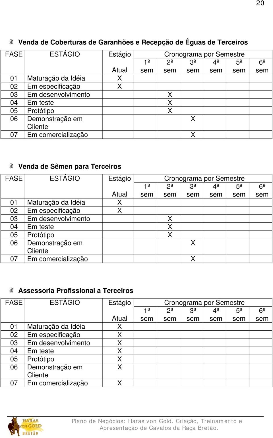 X 02 Em especificação X 03 Em desenvolvimento X 04 Em teste X 05 Protótipo X 06 Demonstração em Cliente 07 Em comercialização X Cronograma por Semestre 2º 3º 4º 5º sem sem sem sem X 6º sem Assessoria