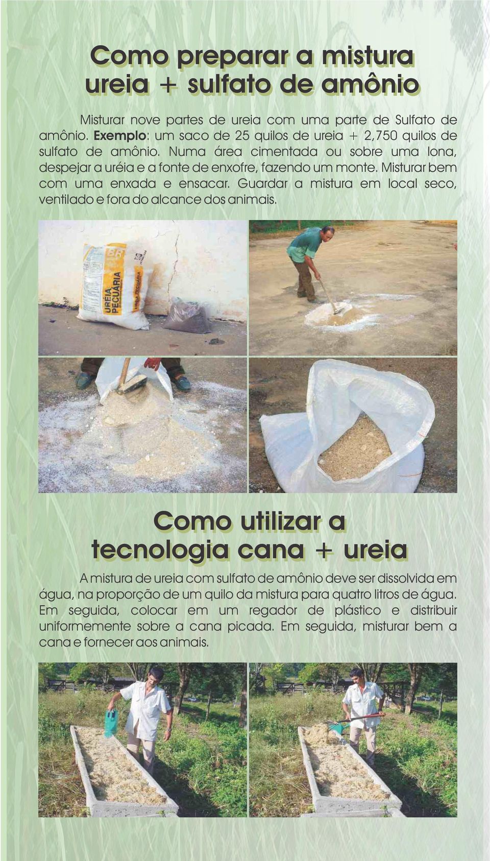 Misturar bem com uma enxada e ensacar. Guardar a mistura em local seco, ventilado e fora do alcance dos animais.