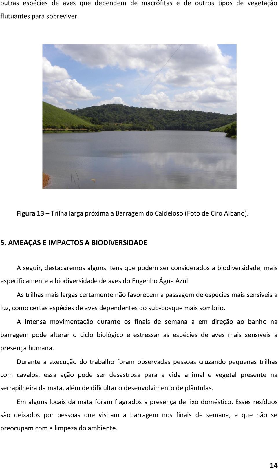 mais largas certamente não favorecem a passagem de espécies mais sensíveis a luz, como certas espécies de aves dependentes do sub-bosque mais sombrio.