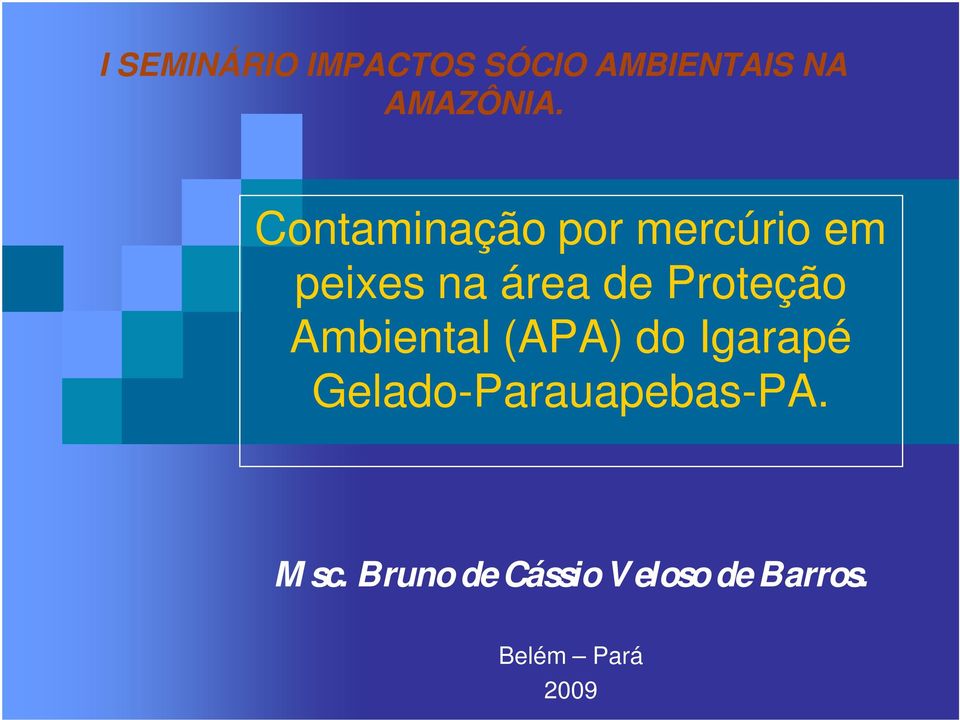 Proteção Ambiental (APA) do Igarapé
