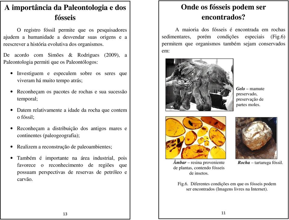 sucessão temporal; Datem relativamente a idade da rocha que contem o fóssil; Onde os fósseis podem ser encontrados?