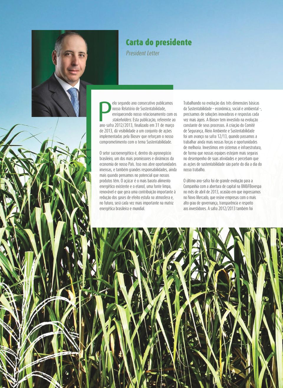 Sustentabilidade. O setor sucroenergético é, dentro do agronegócio brasileiro, um dos mais promissores e dinâmicos da economia de nosso País.
