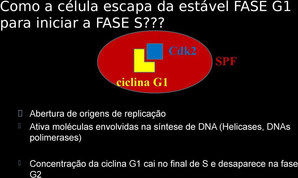 moléculas envolvidas na síntese de DNA (Helicases, DNAs