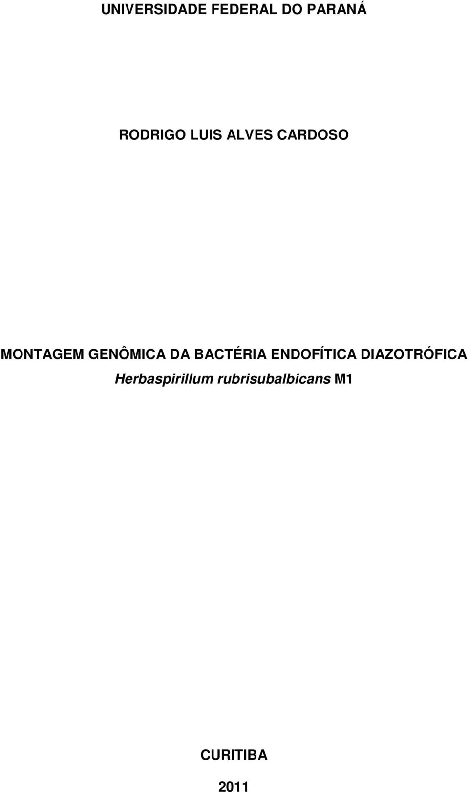 BACTÉRIA ENDOFÍTICA DIAZOTRÓFICA