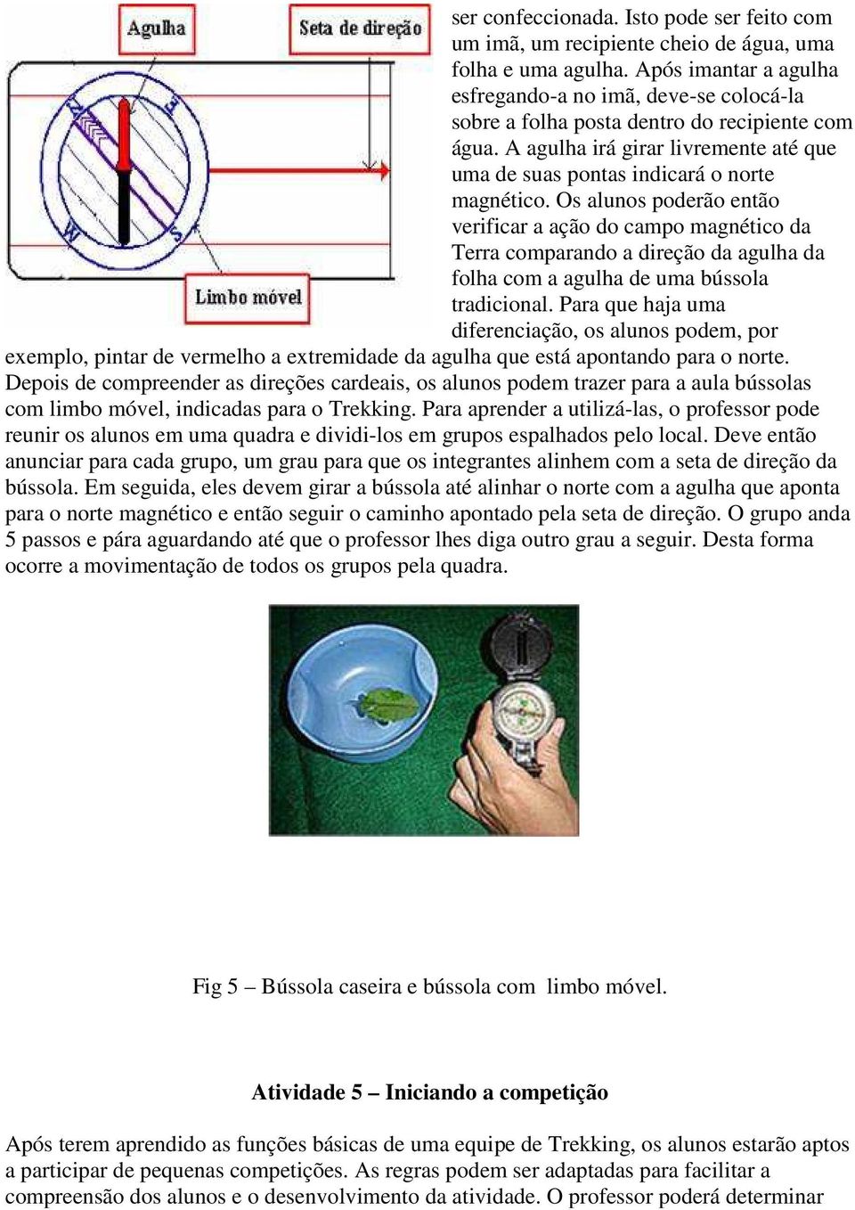 Os alunos poderão então verificar a ação do campo magnético da Terra comparando a direção da agulha da folha com a agulha de uma bússola tradicional.