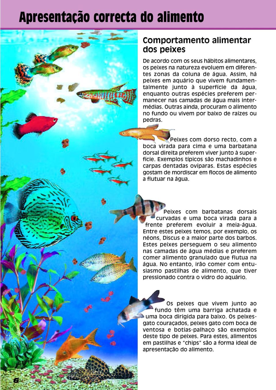 Outras ainda, procuram o alimento no fundo ou vivem por baixo de raízes ou pedras. Peixes com dorso recto, com a boca virada para cima e uma barbatana dorsal direita preferem viver junto à superfície.