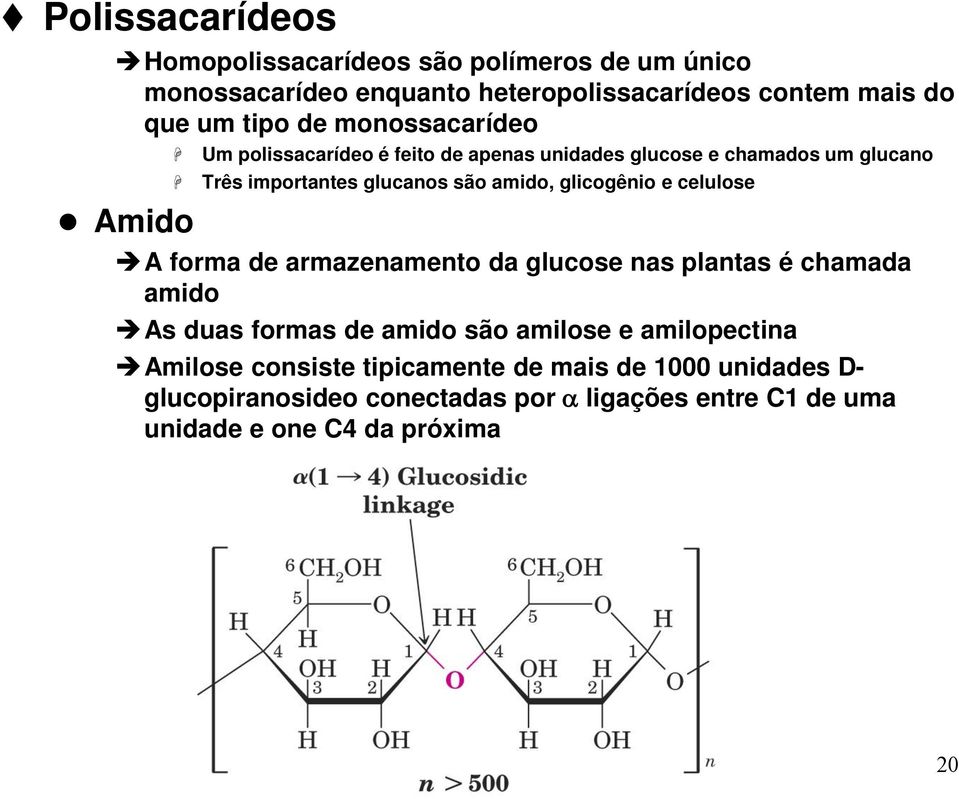 glicogênio e celulose A forma de armazenamento da glucose nas plantas é chamada amido As duas formas de amido são amilose e amilopectina