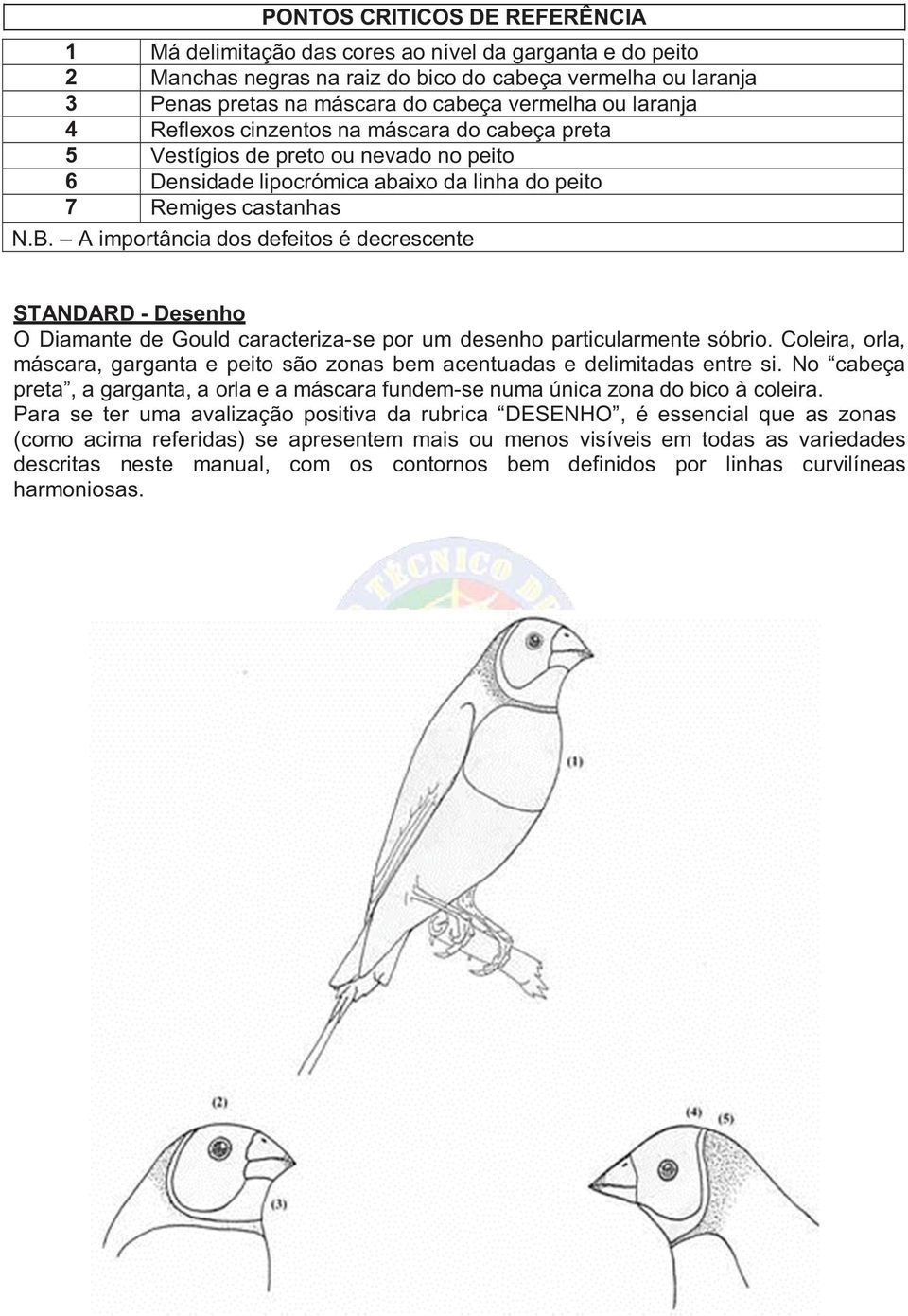 A importância dos defeitos é decrescente STANDARD - Desenho O Diamante de Gould caracteriza-se por um desenho particularmente sóbrio.