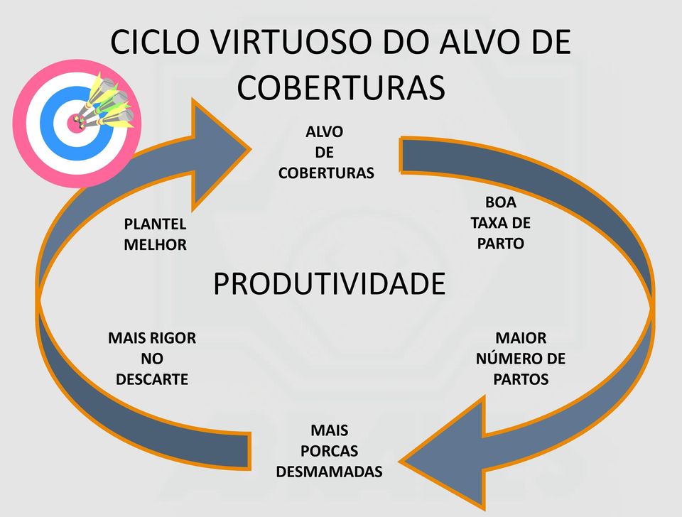 PRODUTIVIDADE BOA TAXA DE PARTO MAIS RIGOR