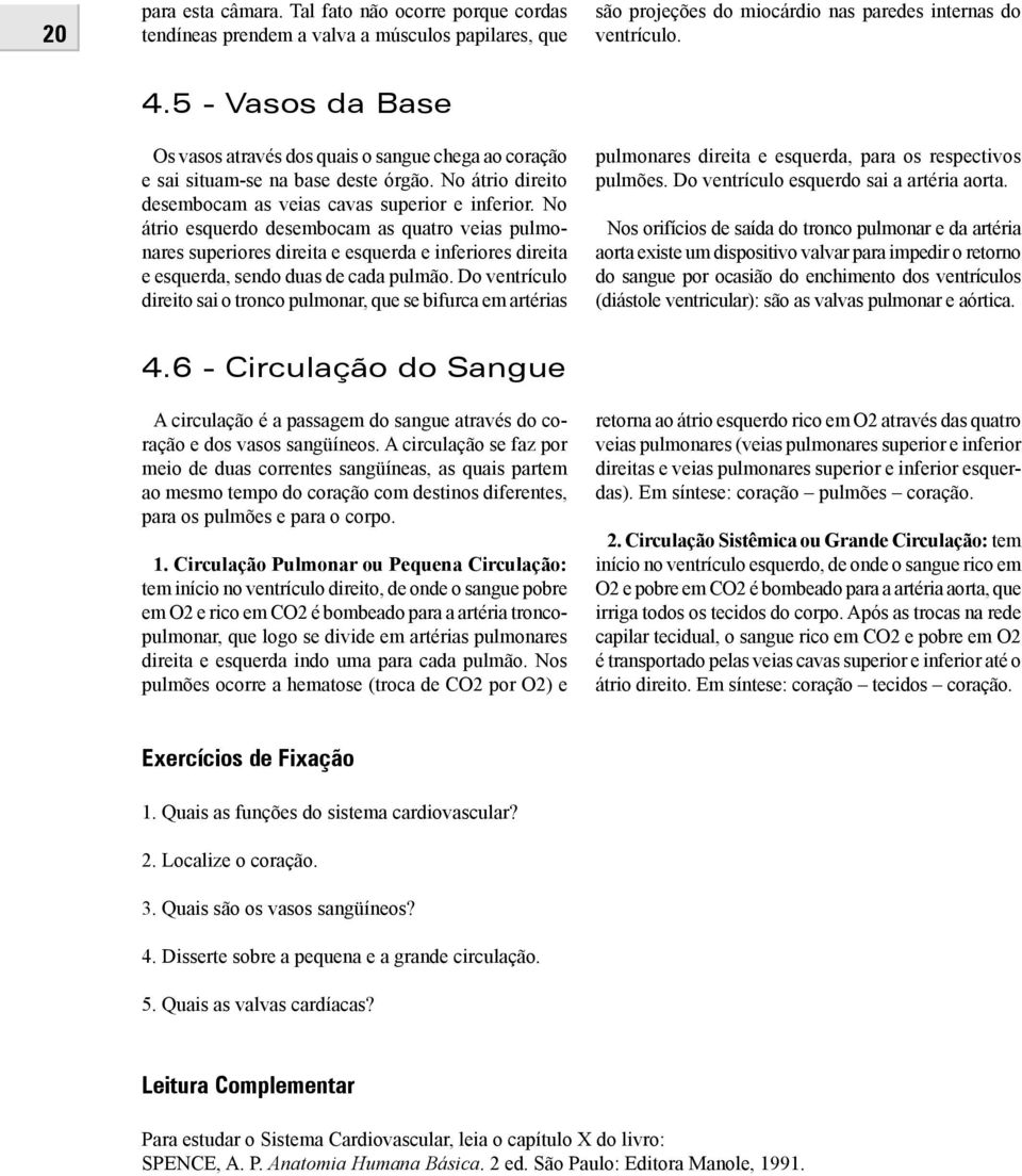 No átrio esquerdo desembocam as quatro veias pulmonares superiores direita e esquerda e inferiores direita e esquerda, sendo duas de cada pulmão.