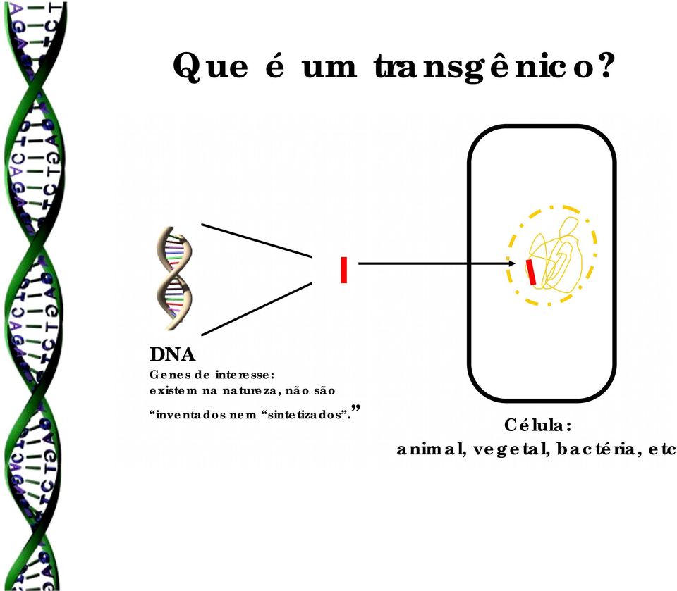 natureza, não são inventados nem