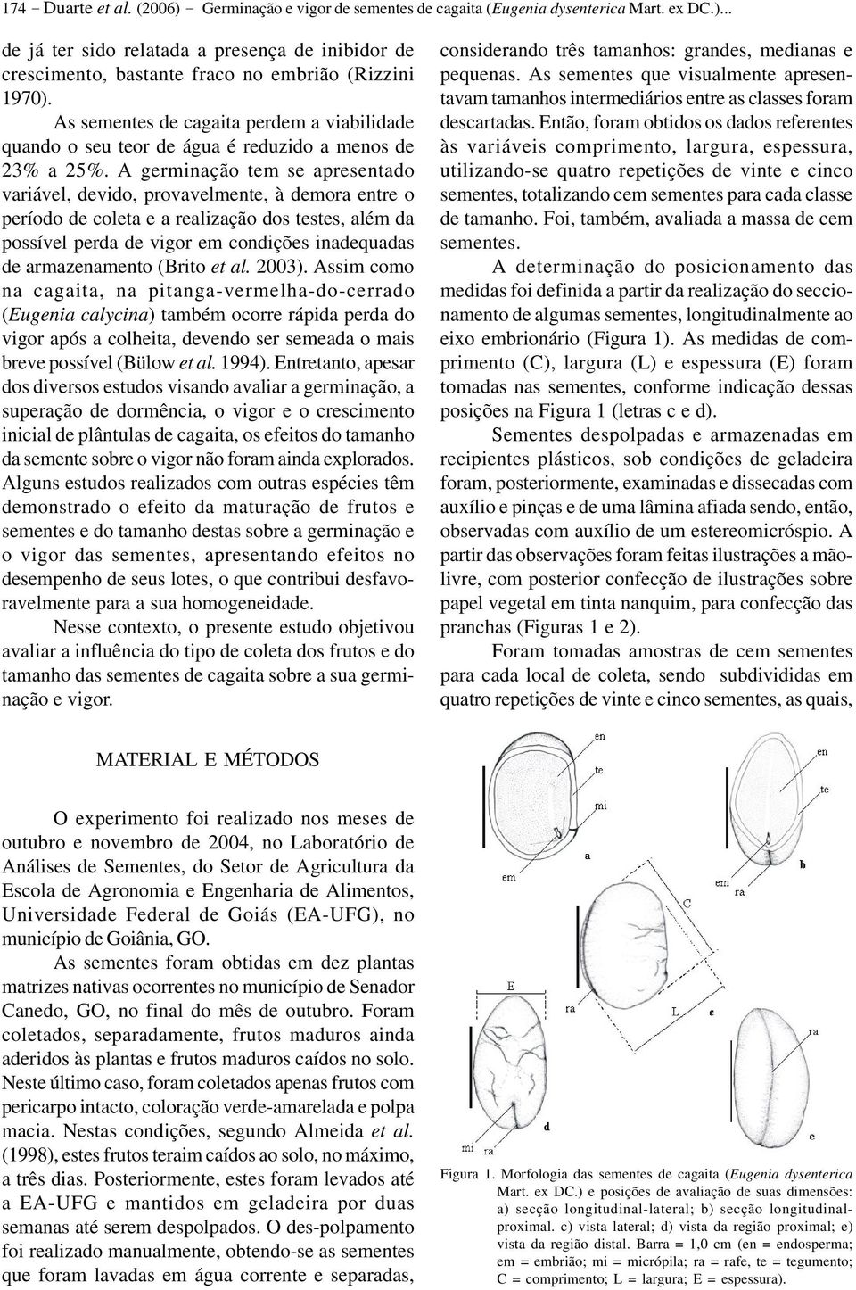 A germinação tem se apresentado variável, devido, provavelmente, à demora entre o período de coleta e a realização dos testes, além da possível perda de vigor em condições inadequadas de