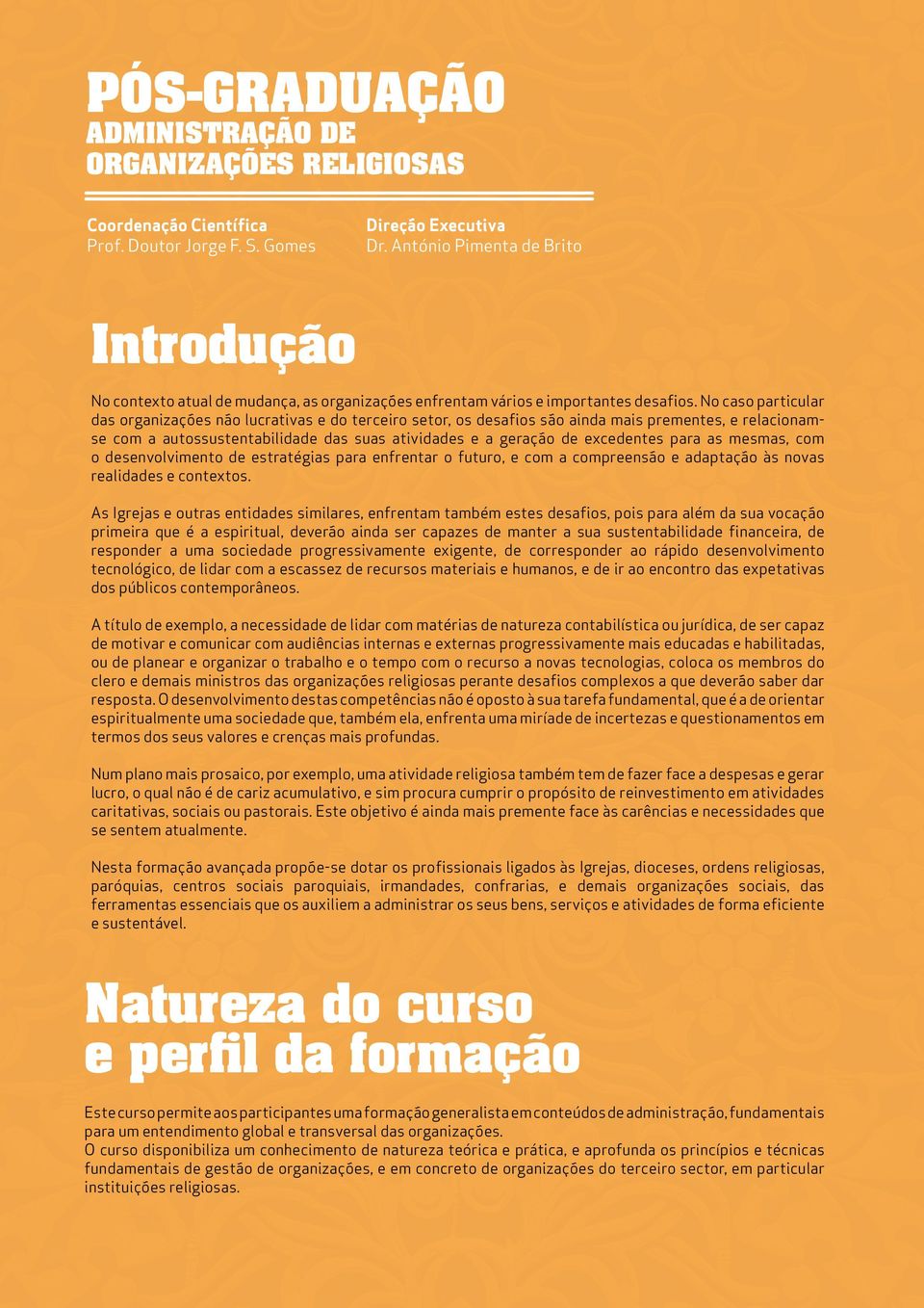 No caso particular das organizações não lucrativas e do terceiro setor, os desafios são ainda mais prementes, e relacionamse com a autossustentabilidade das suas atividades e a geração de excedentes