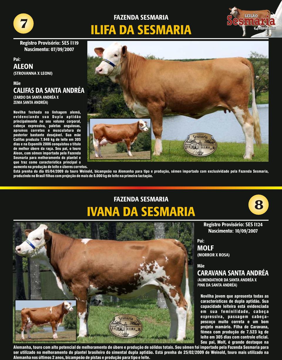 Sua mãe Califas produziu 7.946 kg de leite em 305 dias e na Expomilk 2006 conquistou o título de melhor úbere da raça.