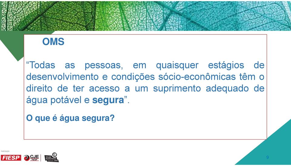 o direito de ter acesso a um suprimento adequado