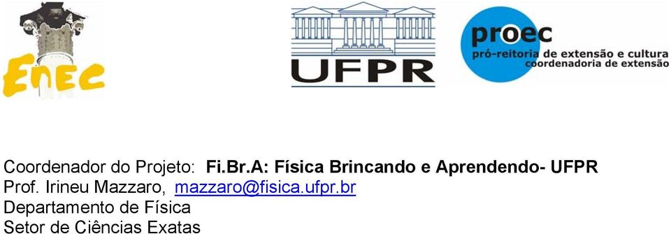 Prof. Irineu Mazzaro, mazzaro@fisica.