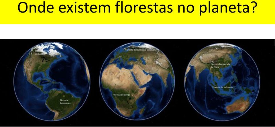 florestas