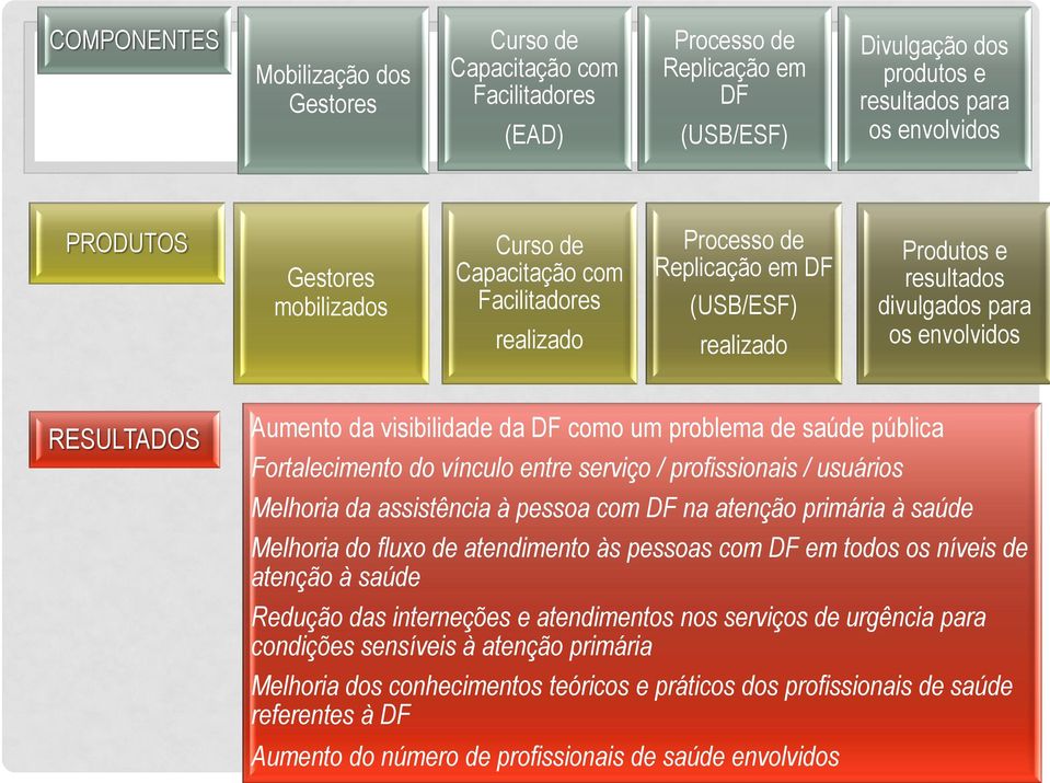 DF como um problema de saúde pública Fortalecimento do vínculo entre serviço / profissionais / usuários Melhoria da assistência à pessoa com DF na atenção primária à saúde Melhoria do fluxo de