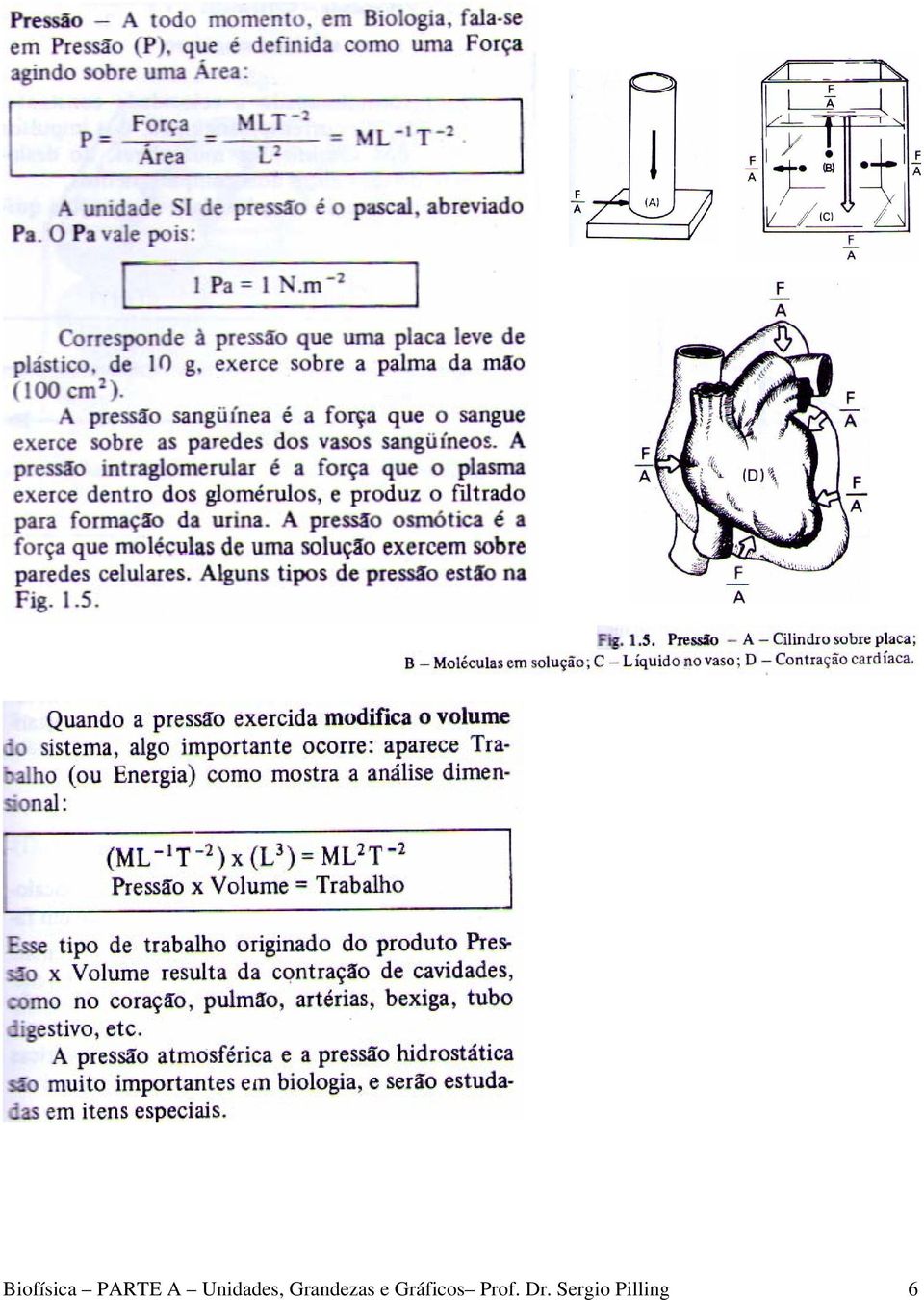 Grandezas e