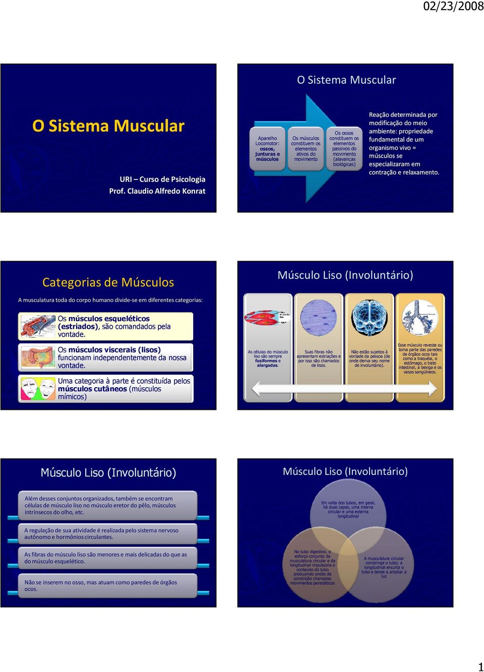 biológicas) Reação determinada por modificação do meio ambiente: propriedade fundamental de um organismo vivo = músculos se especializaram em contração e relaxamento.